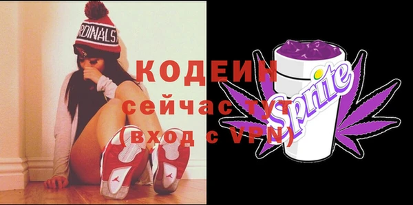 бошки Ладушкин