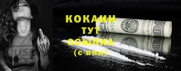 бошки Ладушкин