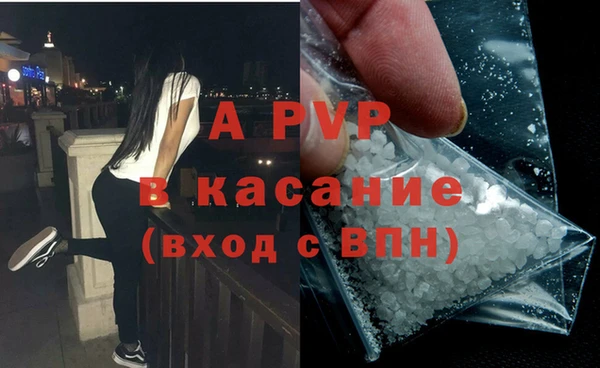 бошки Ладушкин
