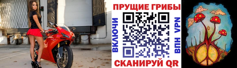 hydra сайт  Суоярви  Галлюциногенные грибы GOLDEN TEACHER  купить закладку 